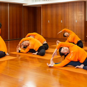 靈性瑜伽．進階上